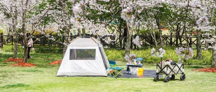 清明露营热折射消费分级，精致露营与 “穷” 露营共生！