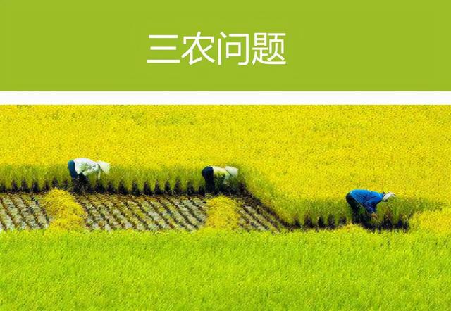 “文旅+乡村” 8种创新模式，让乡村旅游焕发新活力！