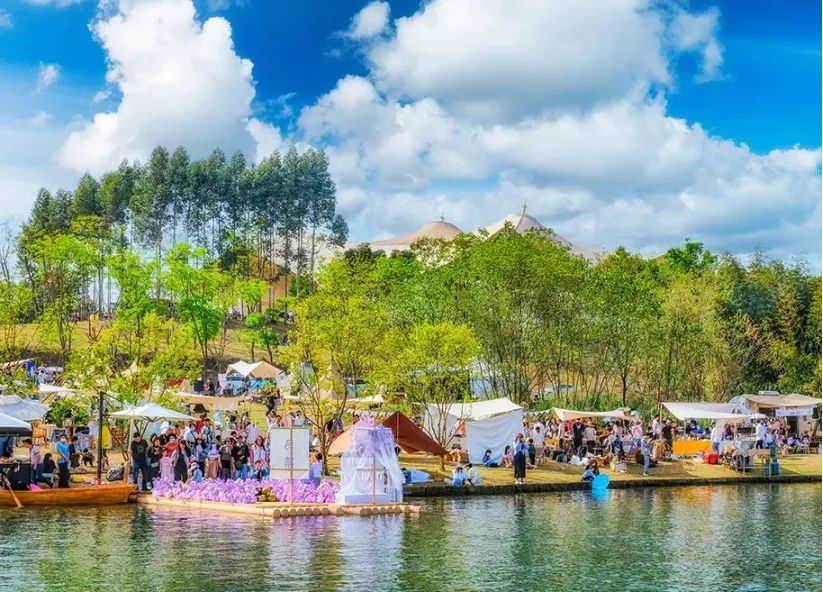 国际视角下，探索国内城市公园的潜力与发展方向