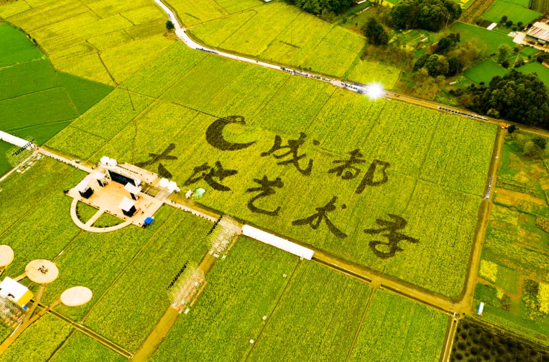 东林音乐村大地艺术季活动落地座谈会