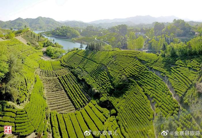 “跨界出圈”，“土特产”做成“大产业”