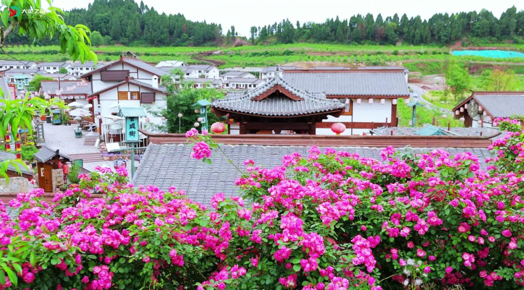 民政部：发展“行业+”养老新业态，推动养老服务与物业、家政、医疗、文化、旅游、体育、教育等行业融合发展