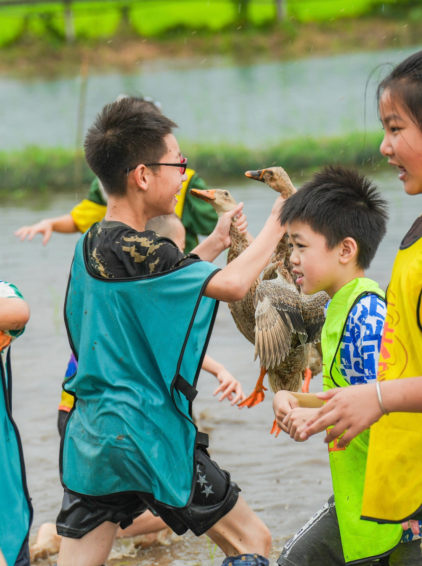 宋井桃源五一精彩活动预告