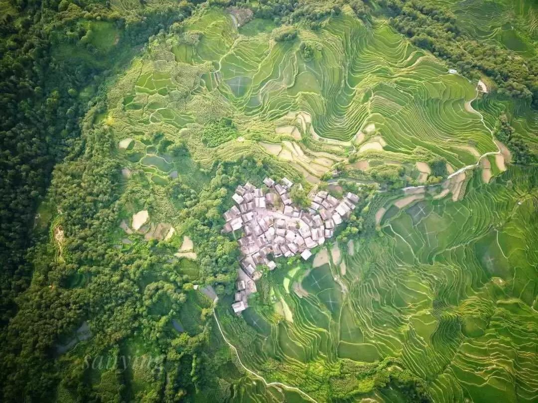 阿者科计划：高校技术援助下的旅游减贫之路