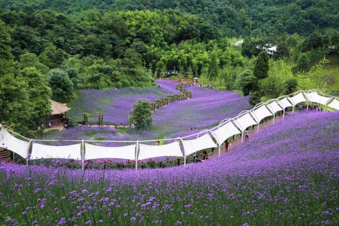 十一出游攻略|与其堵堵堵，不如去这三个地方过神仙日子